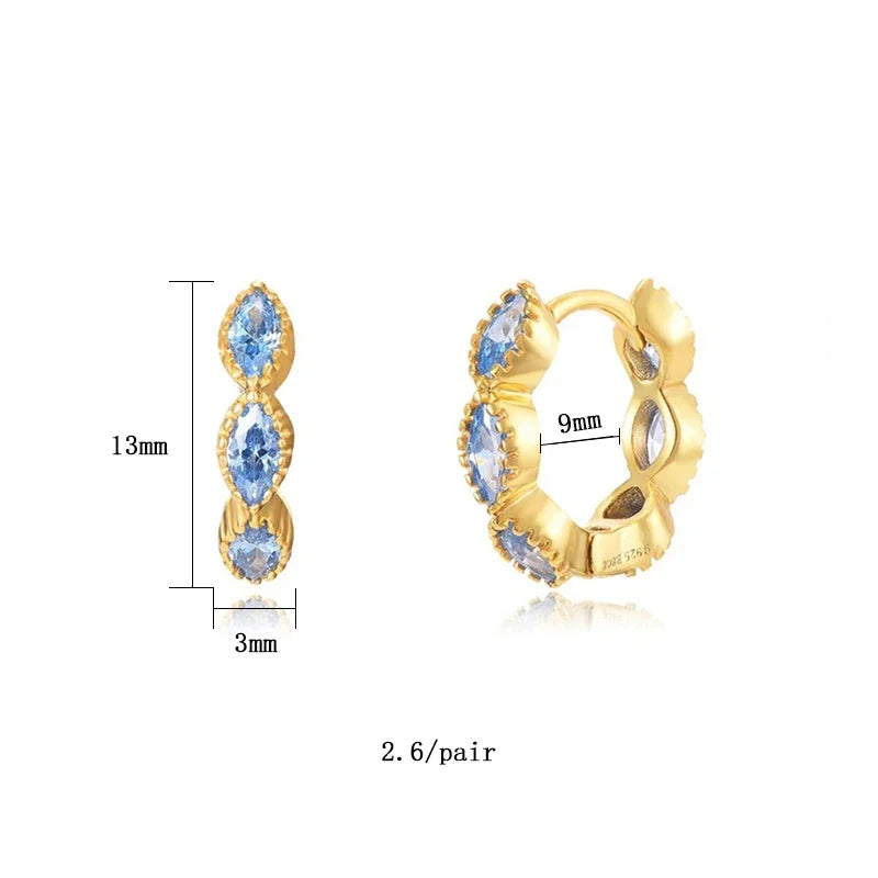 Hoop Earrings