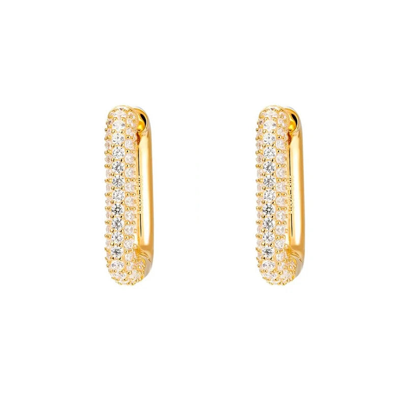 Hoop Earrings