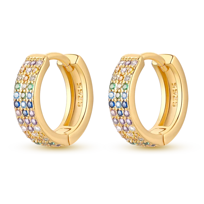Hoop Earrings