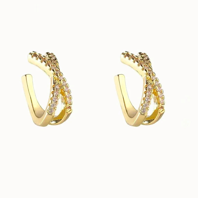 Hoop Earrings