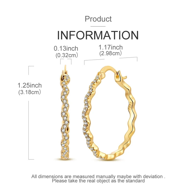 Hoop Earrings