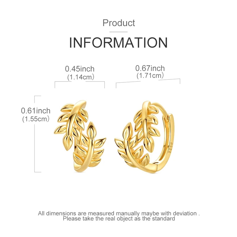 Hoop Earrings