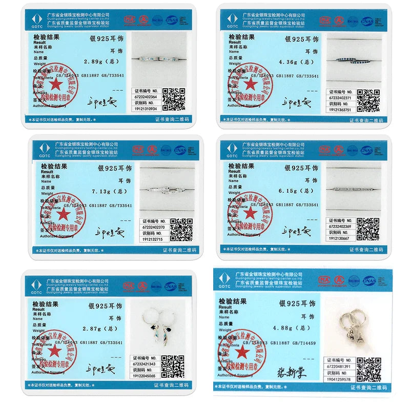 Hoop Earrings
