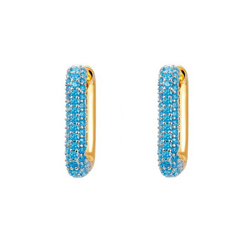 Hoop Earrings