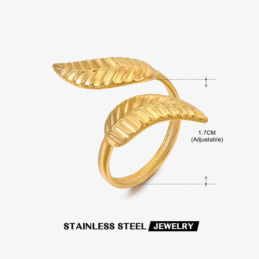 Shell Rings