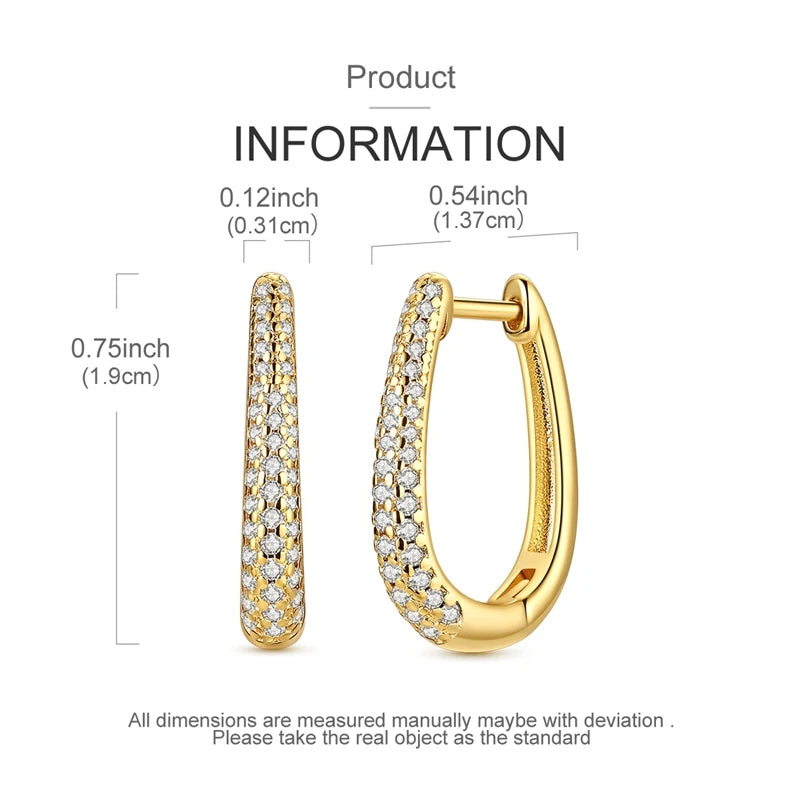Hoop Earrings
